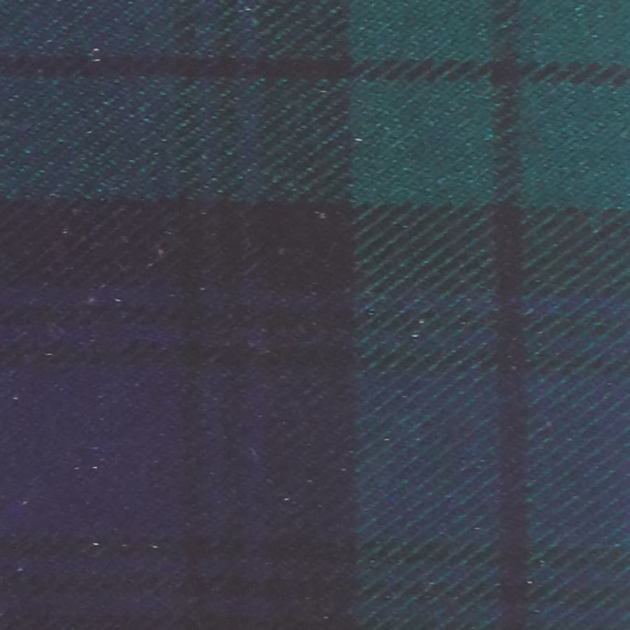 Tartan plaid swatch